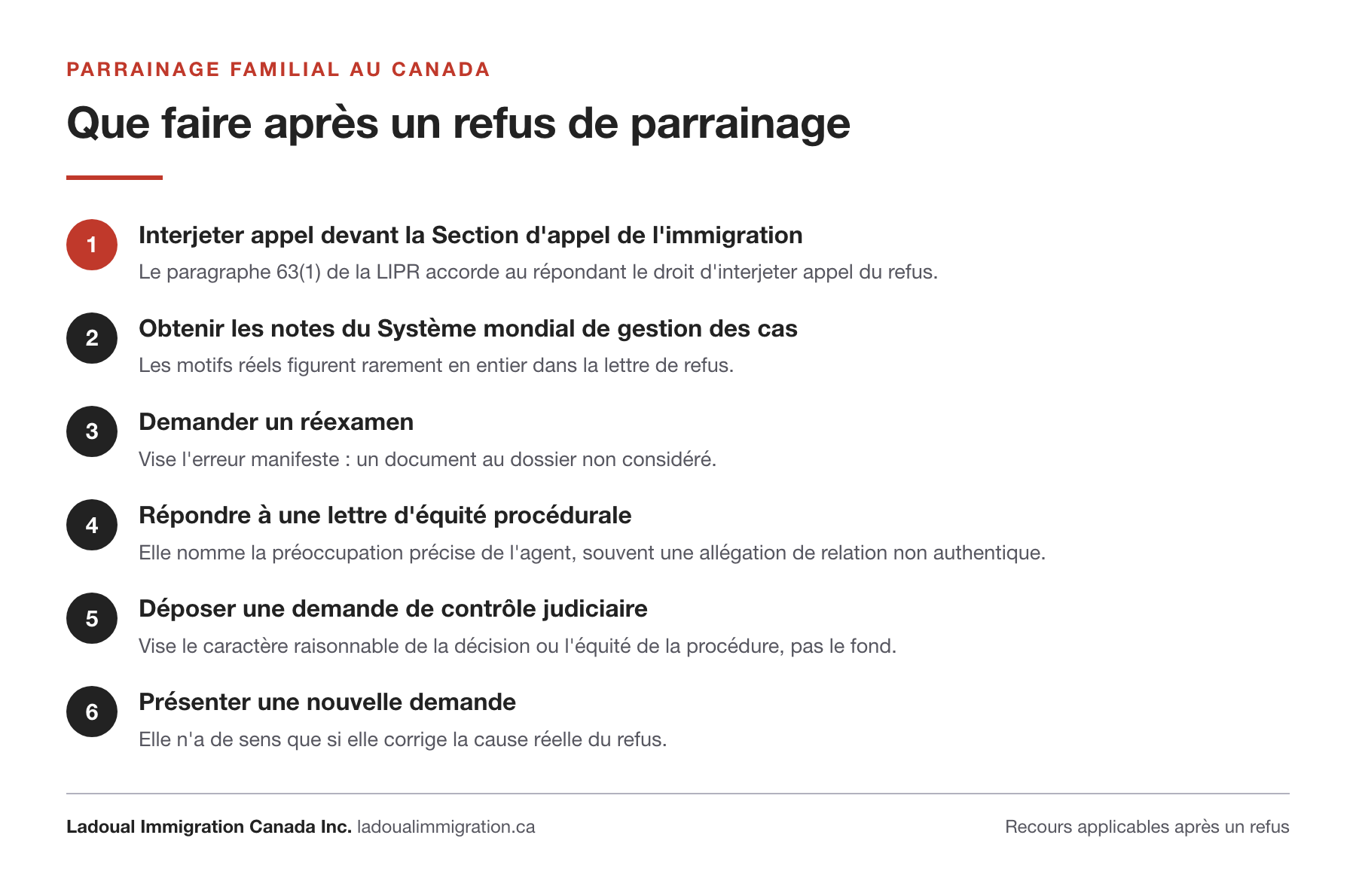 Les six recours après un refus de parrainage familial : appel devant la Section d'appel de l'immigration au titre du paragraphe 63(1) de la LIPR, notes du Système mondial de gestion des cas, réexamen, réponse à une lettre d'équité procédurale, contrôle judiciaire, nouvelle demande.